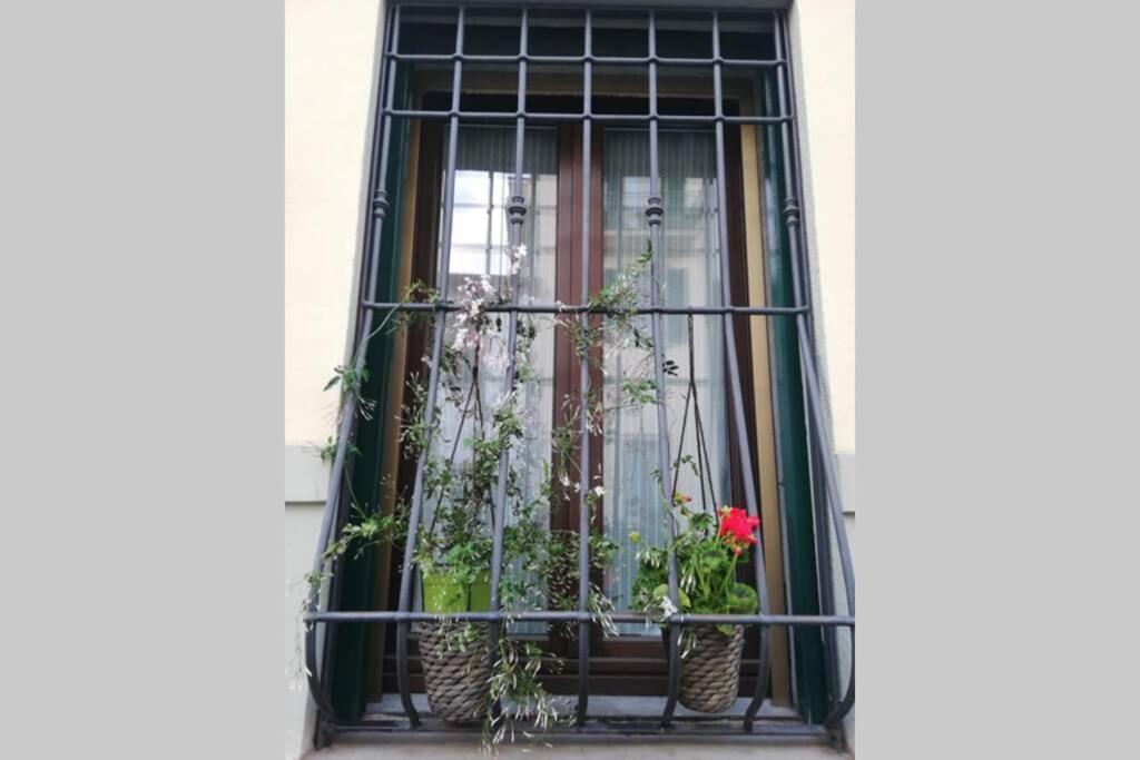 Flower Garden Vicino Al Centro Apartamento