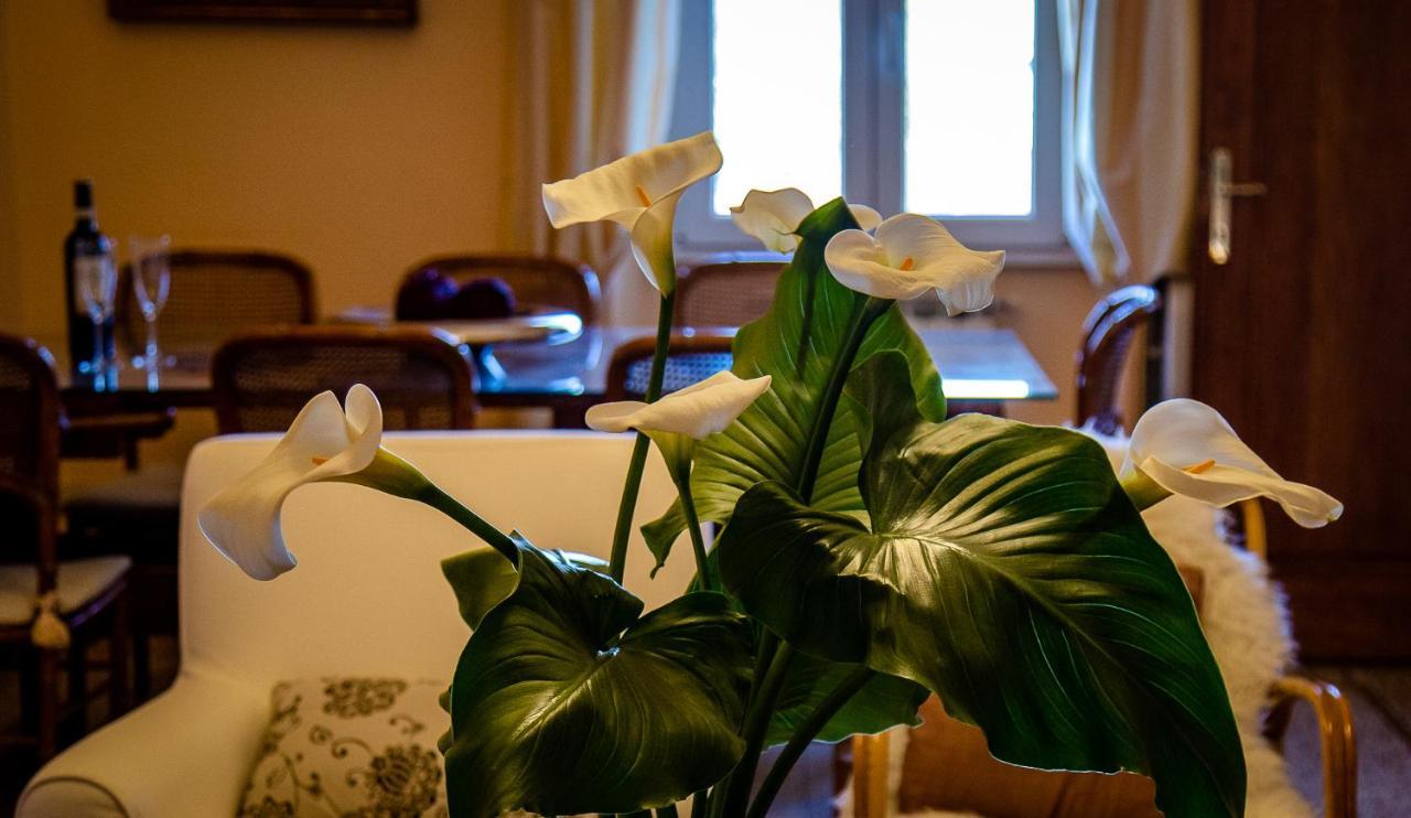 Couette-café Il Palagetto Florence