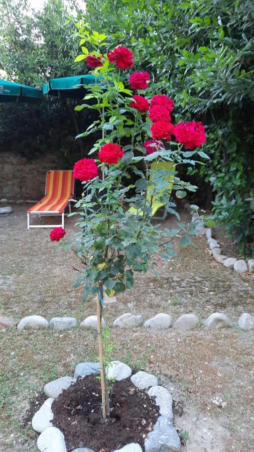 Au Jardin De Apartment Florence