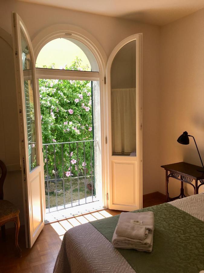 In The Center Of Guest house