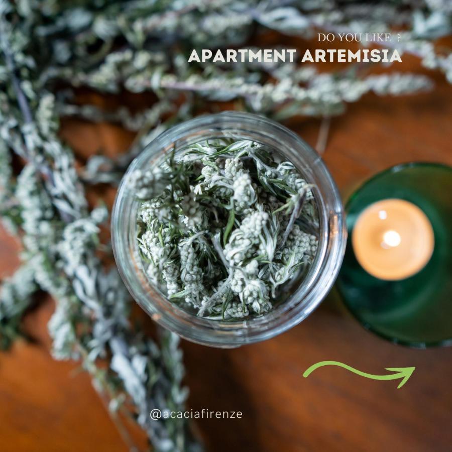Acacia Artemisia-angelica * Firenze