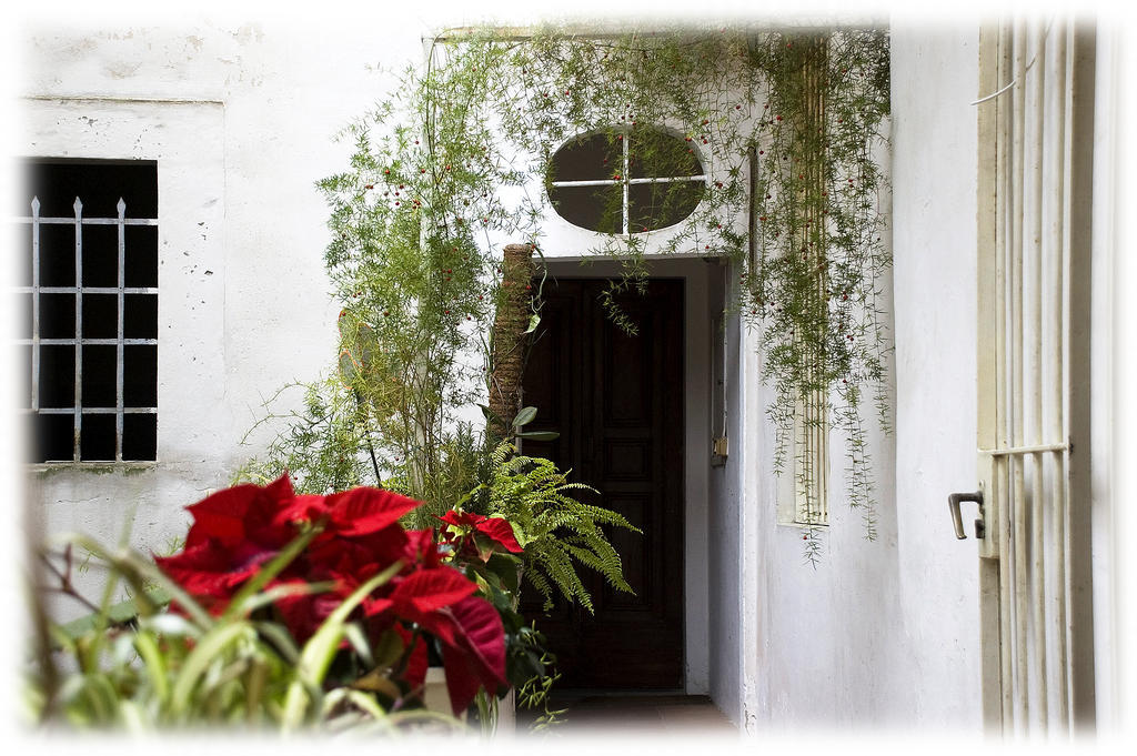 Florence Rental Appartamento Firenze