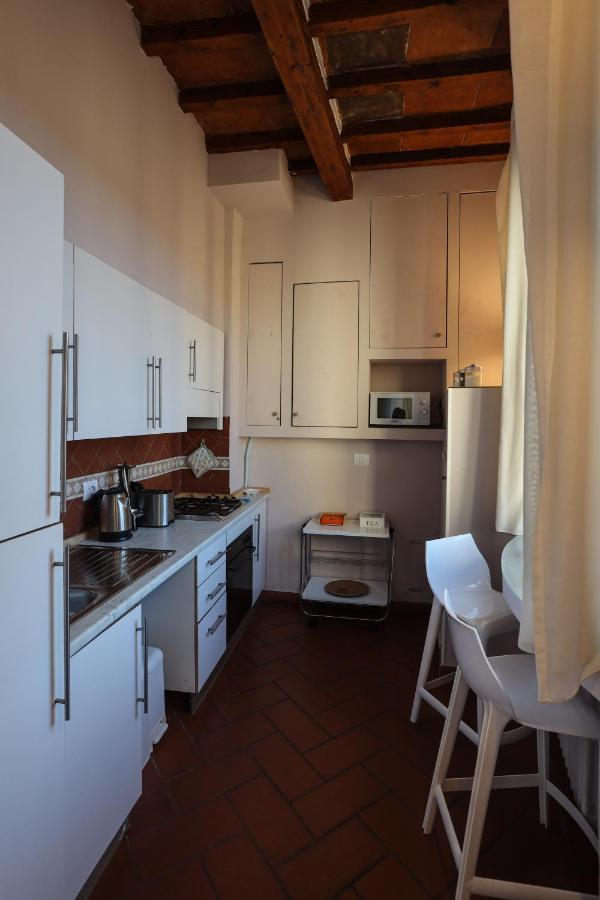 Santo Spirito - Elegante In Pieno Centro * Florença