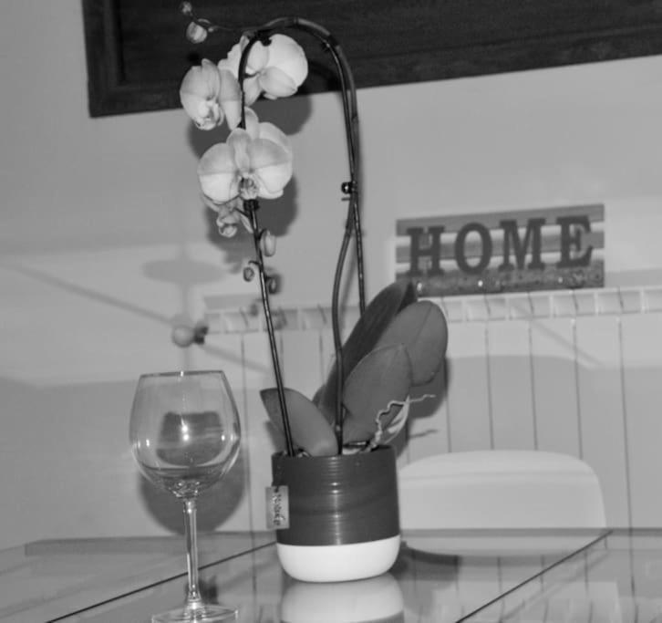 Brand New Apartamento Florença