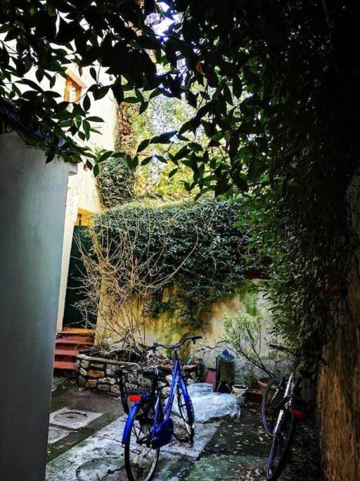 Florentine Style In San Frediano Appartement *
