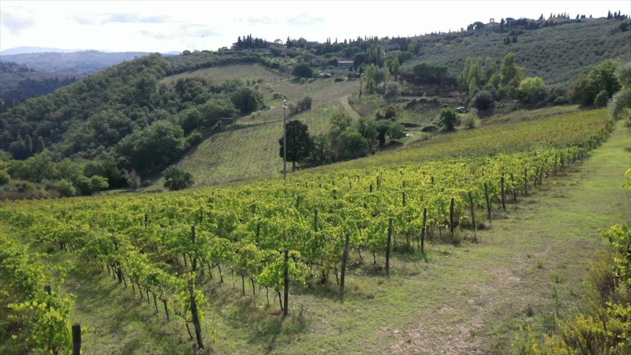 Fattoria Il Milione Feriegård *