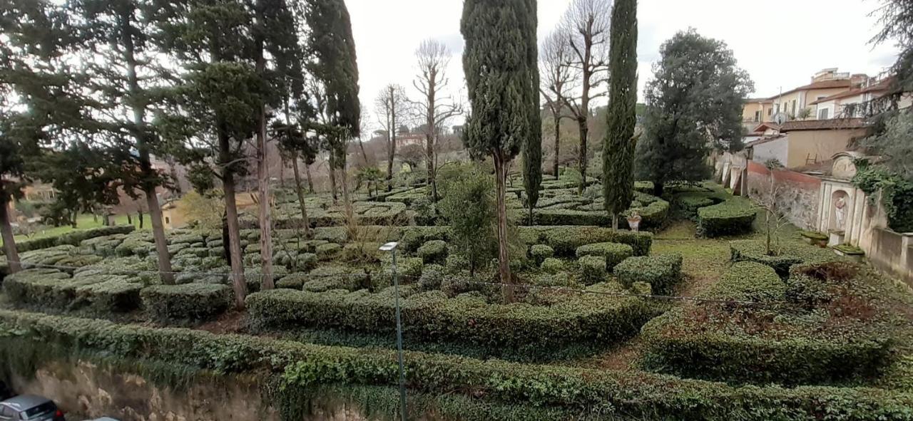 L'albero Di Garibaldi Florença