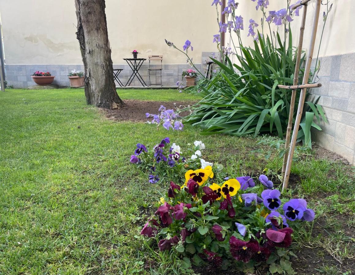 Leilighet Dalu Lucilla - Private Car Park 15 Minutes To The Center Firenze
