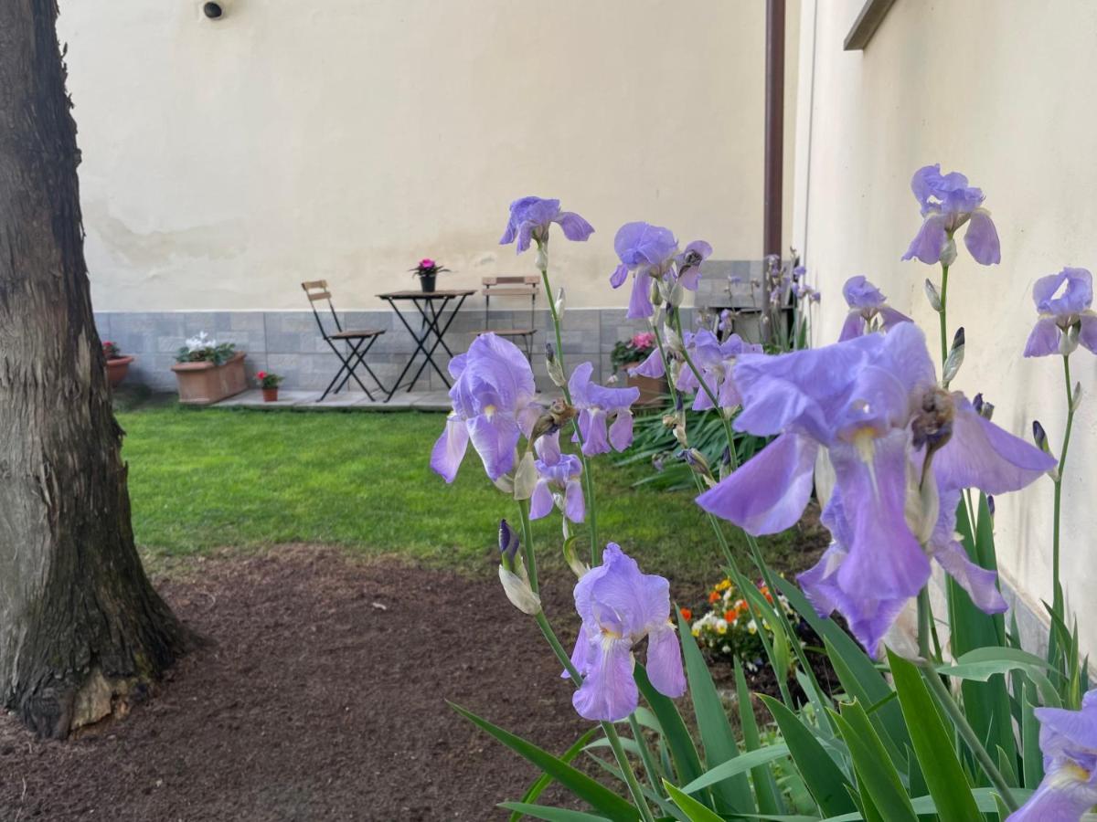 Dalu Lucilla - Private Car Park 15 Minutes To The Center Leilighet Firenze