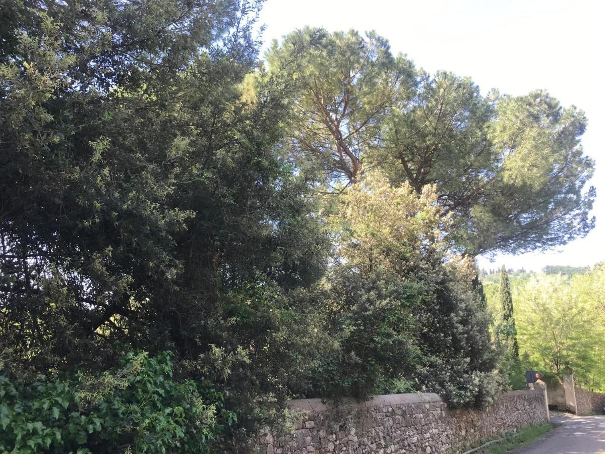 Appartement Elegante E Spazioso Bilocale In Zona Certosa *