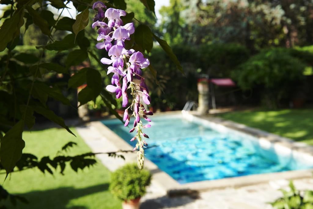 Park Palace Hotell