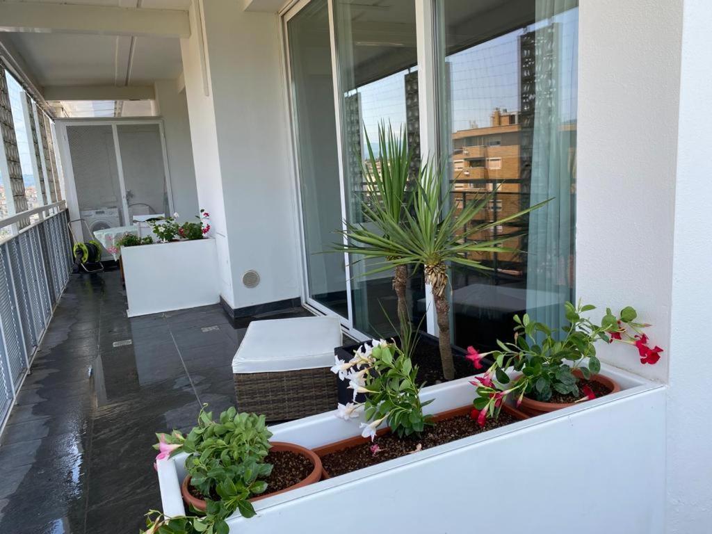 Attico Incantevole Con Terrazza Panoramica Florence