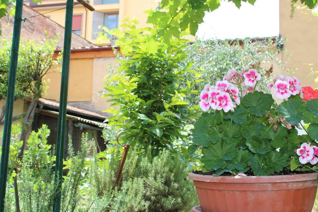 Bed & Breakfast Casa Per Ferie Regina Santo Rosario *