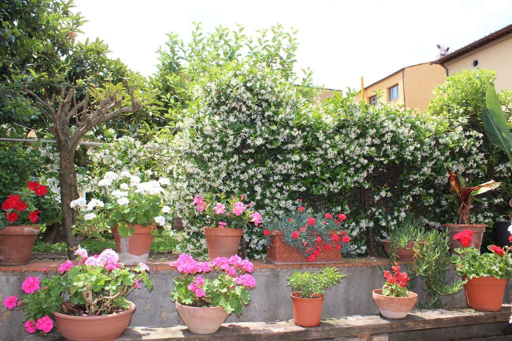 Casa Per Ferie Regina Santo Rosario Bed & Breakfast Firenze