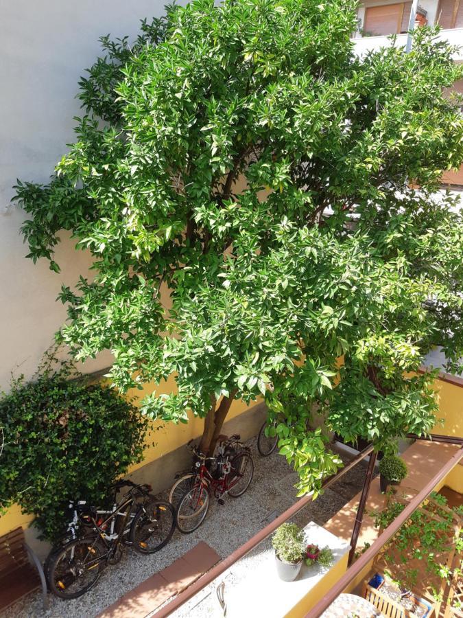 L'aranceto&stilnovo Casa de hóspedes Florença