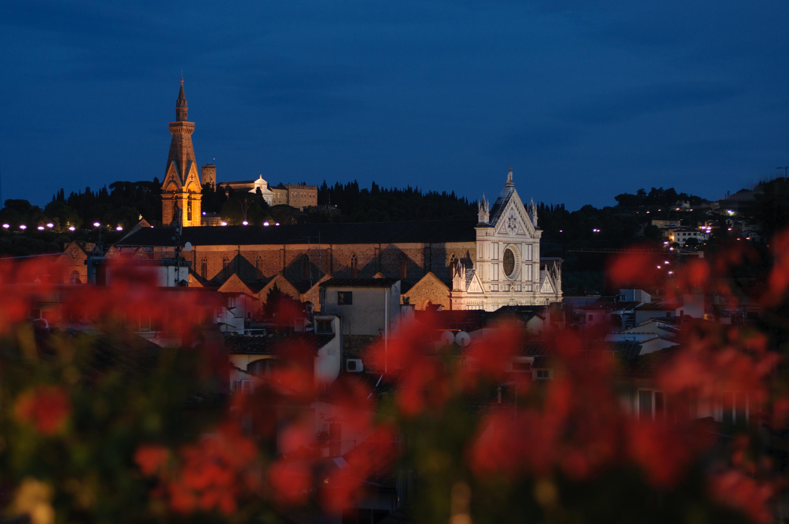Cardinal Of - Recommended For Ages 25 To 55 Florence