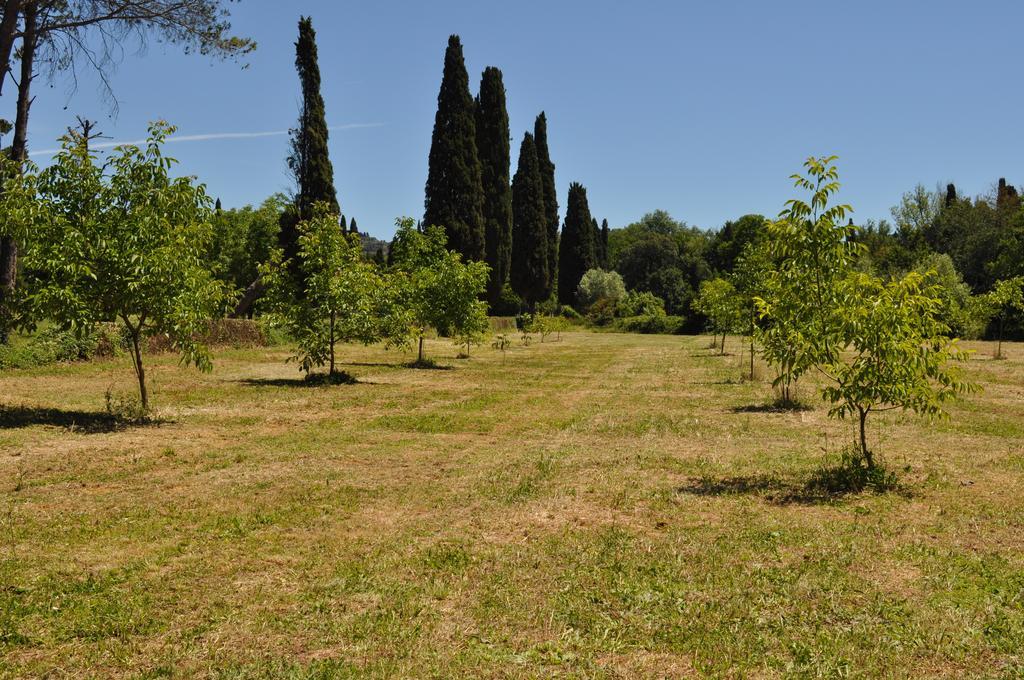 Visconte Casa vacanze