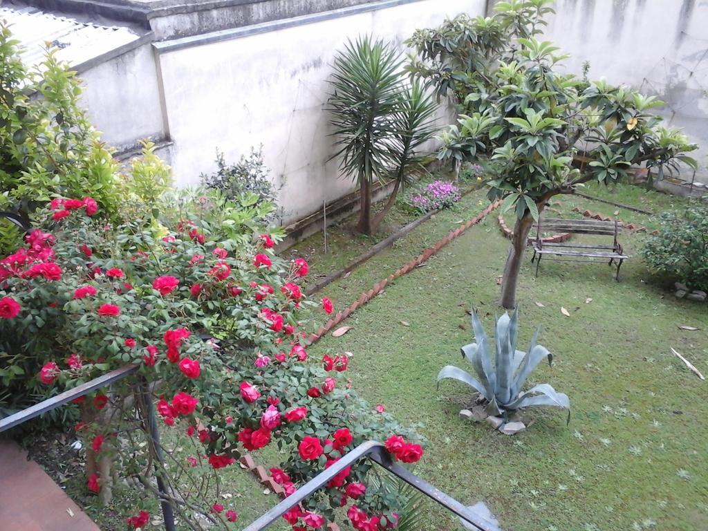 Appartement Casa Mia