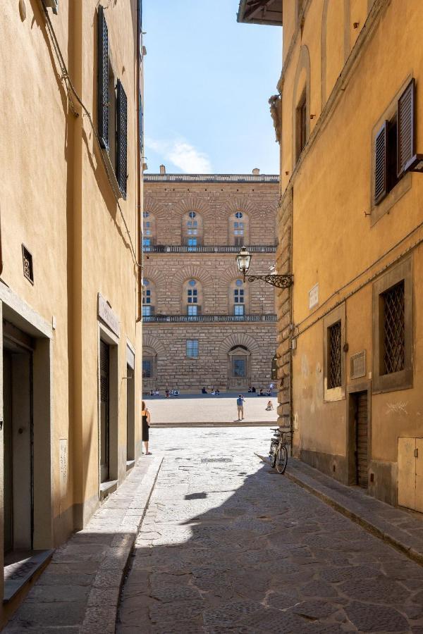 Sdrucciolo Dei Pitti Fourth Floor Appartamento
