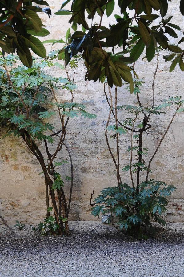 Residenza Branca Della Ripa Leilighet