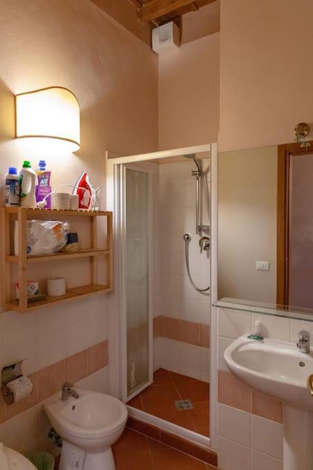 Appartement In San Frediano Area