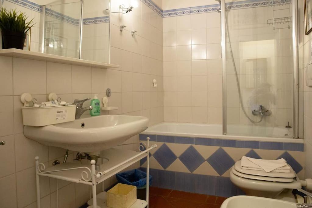 Appartement Charming By Piazza Santo Spirito