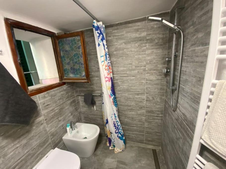 Double Accomodation In San Frediano Apartment Florence