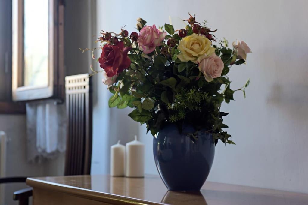 Lejlighed Cozy With Private Garden - City Center - *