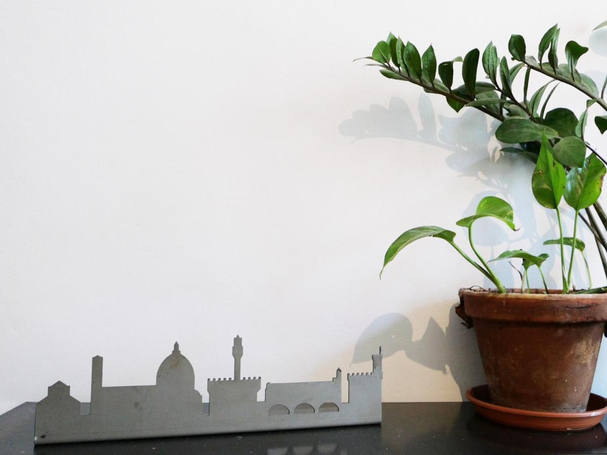 Domus 19 Firenze