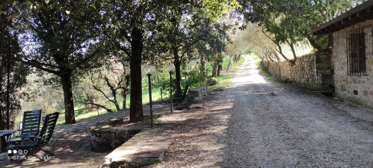 Feriegård Fattoria Il Milione