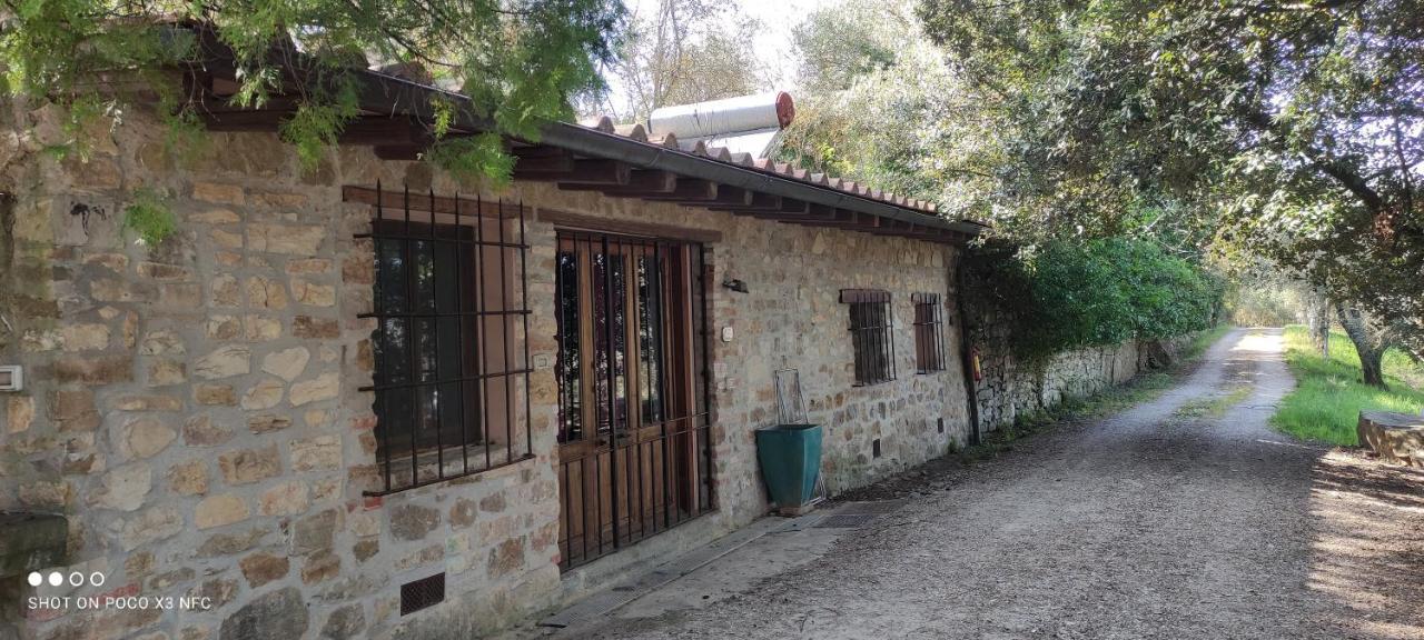 Feriegård Fattoria Il Milione *