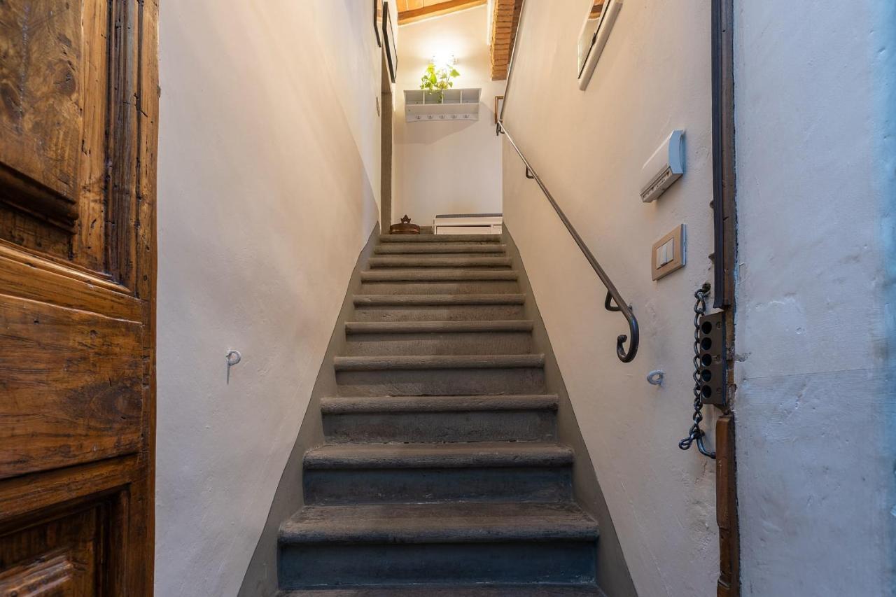 San Zanobi Nest In Firenze