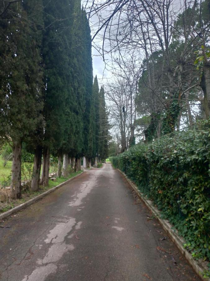 Poggio Gherardo Appartement *