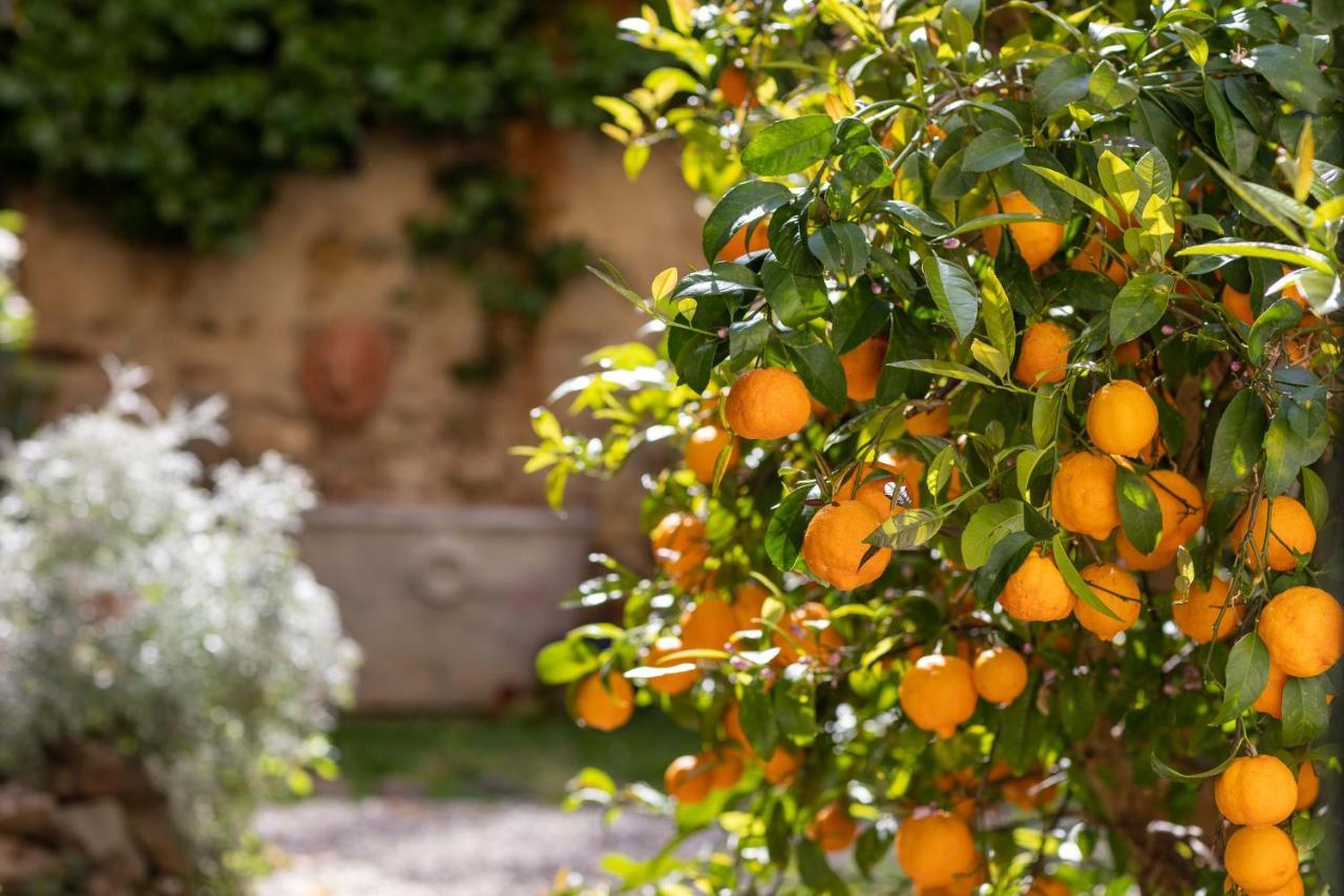Secret Garden Bed & Breakfast Florence