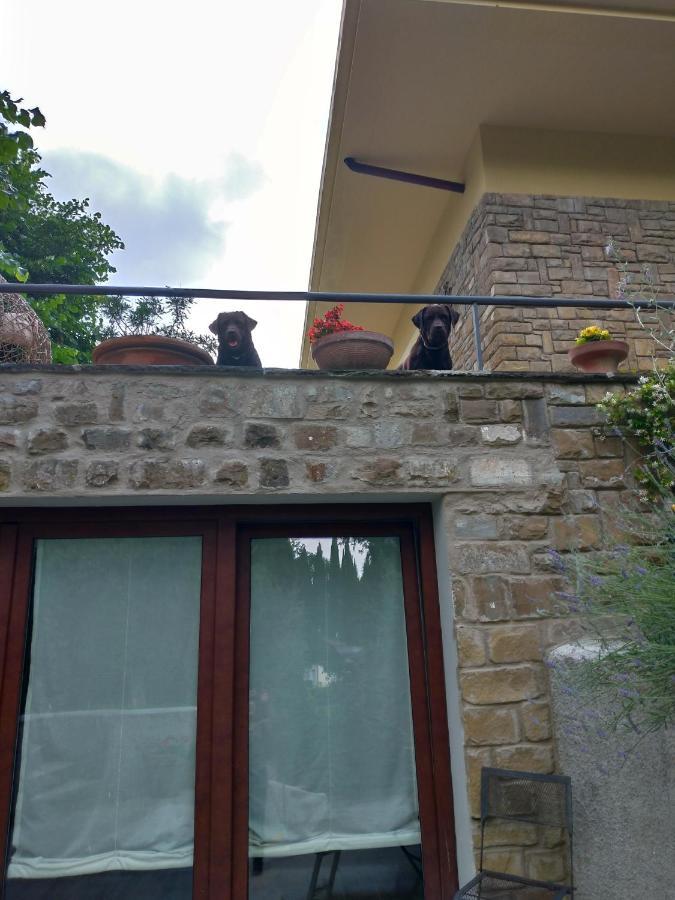 Poggio Gherardo Appartement *