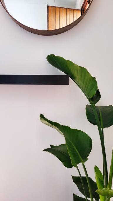 Appartement Aretina Florence