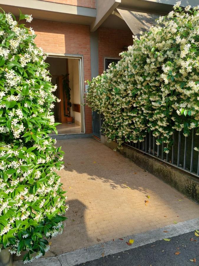 Leilighet Flowerence