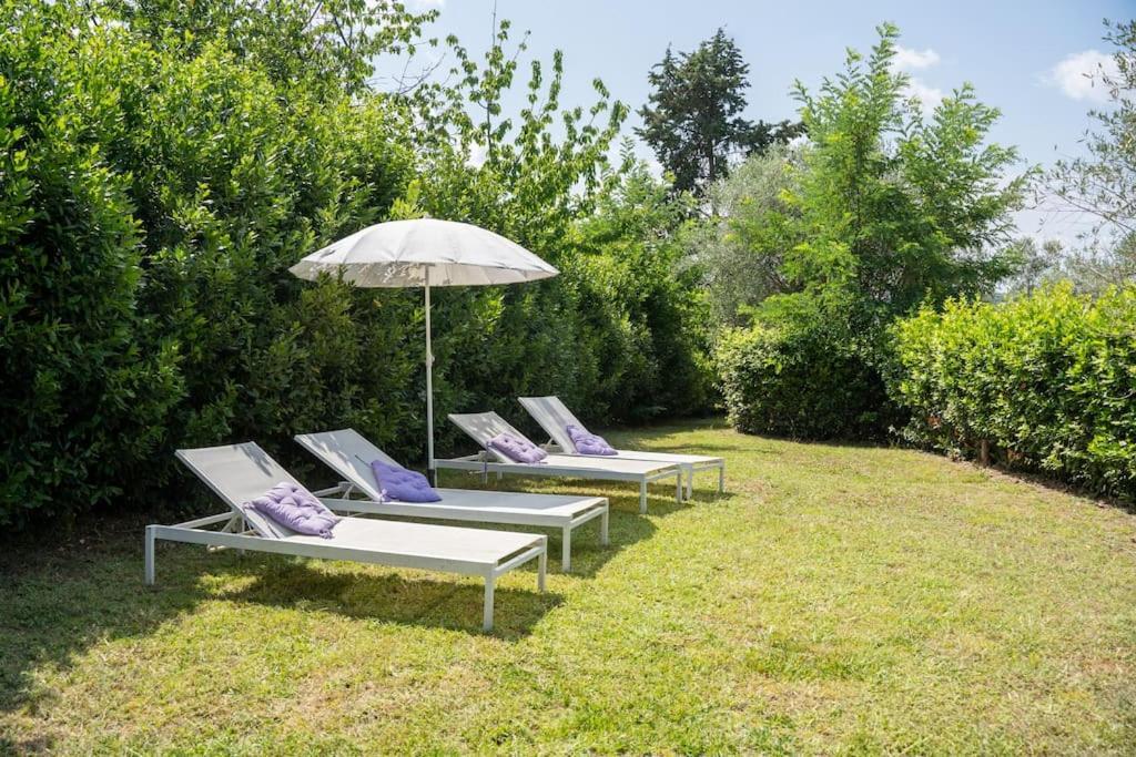 Loft Rustico Toscano: Natura E Relax Appartamento *
