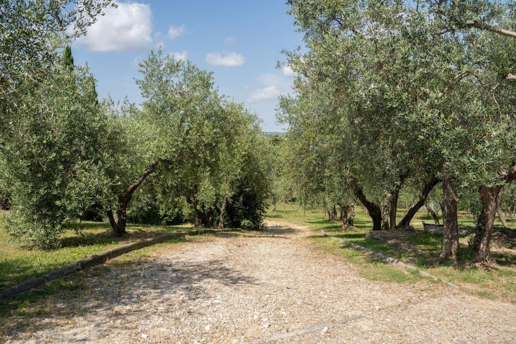 Loft Rustico Toscano: Natura E Relax Appartamento