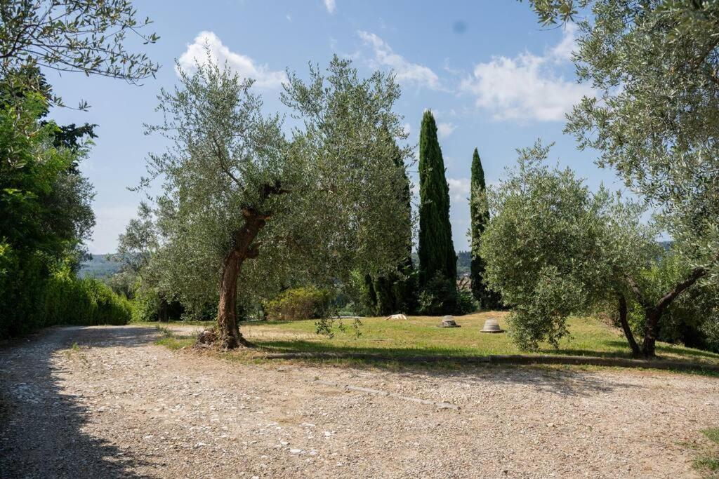 Loft Rustico Toscano: Natura E Relax Appartamento *