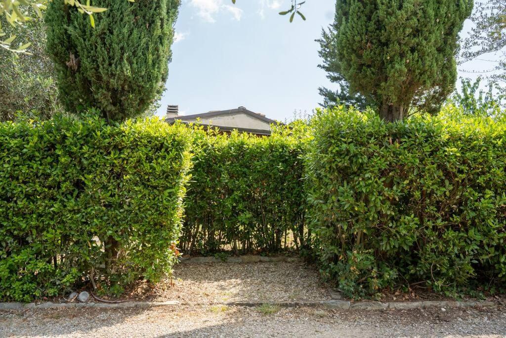 Loft Rustico Toscano: Natura E Relax Firenze