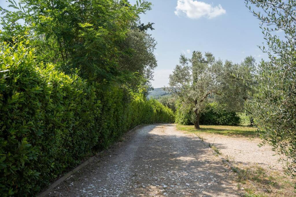 Loft Rustico Toscano: Natura E Relax Appartamento *
