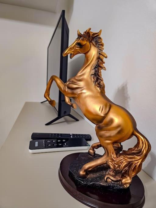 Bravo Horse Modern In Appartement *