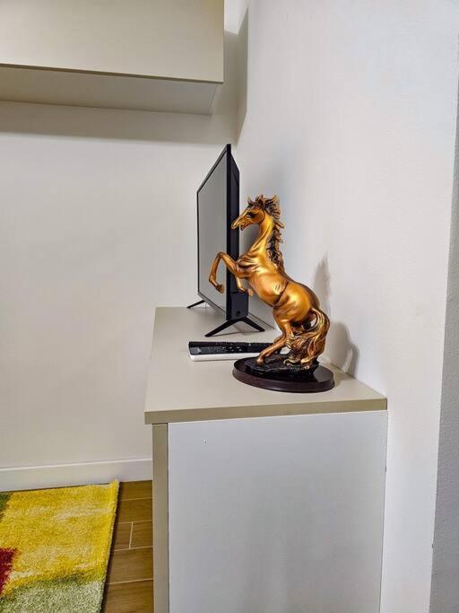 Appartement Bravo Horse Modern In Florence