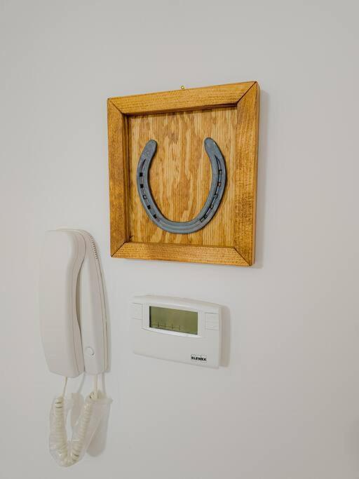 Appartement Bravo Horse Modern In Florence
