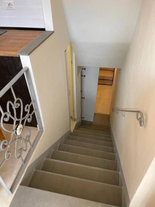 Bellaflo: Small In The Center Of Firenze