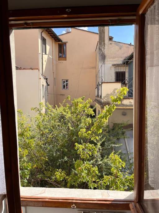 Apartamento Spacious Near Arno River Florença