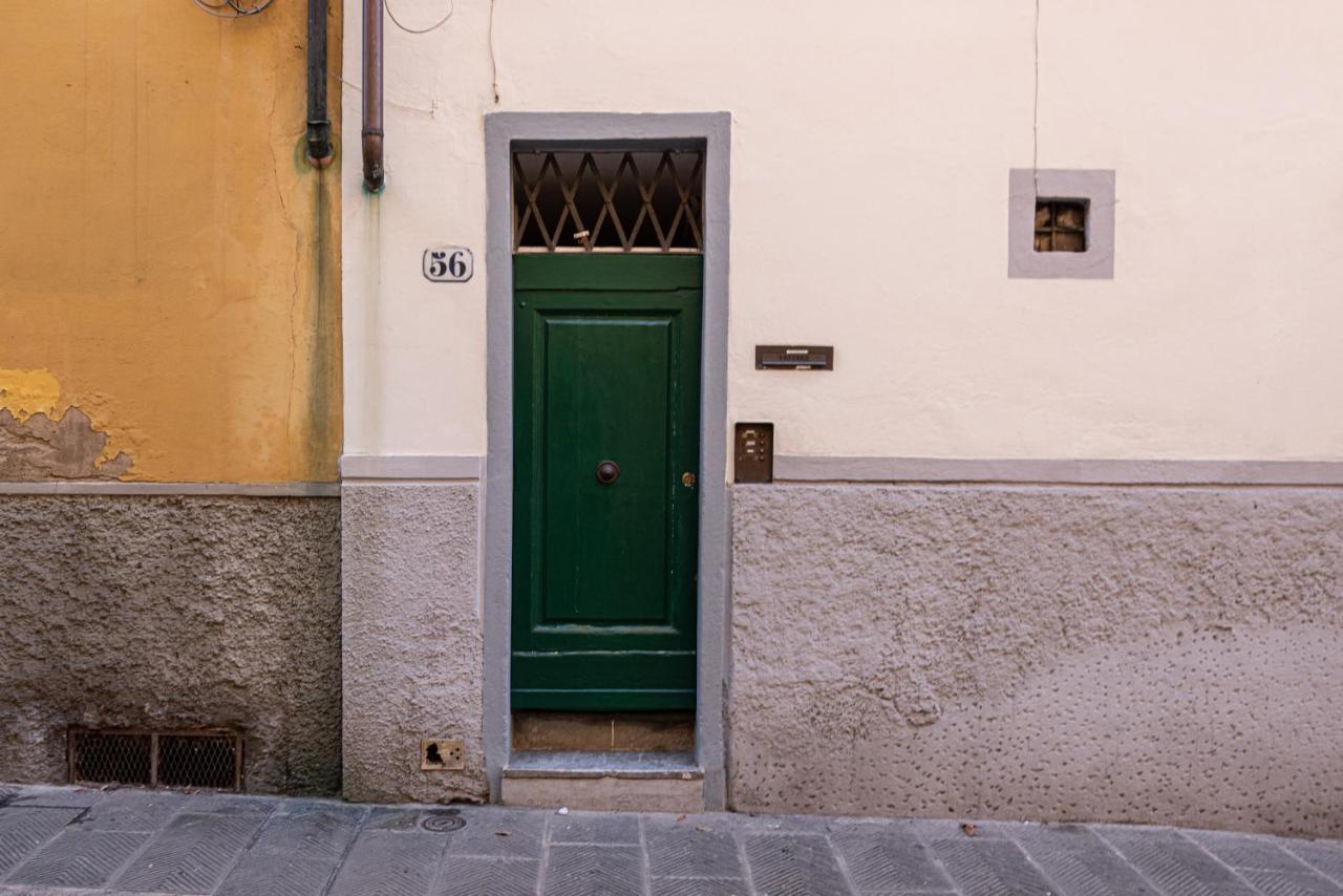 Oltrarno Dreaming * Firenze