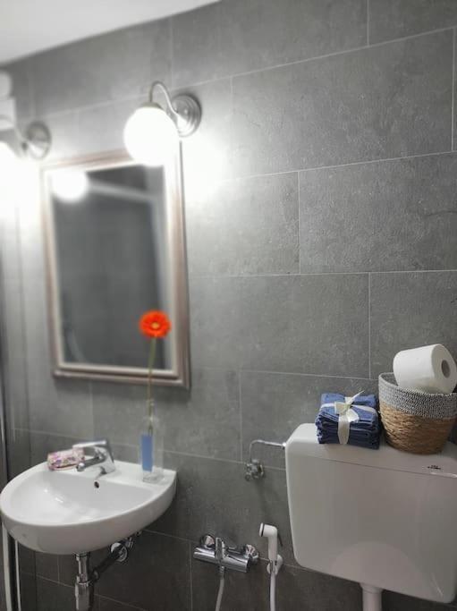 Trinity's Appartement Florence