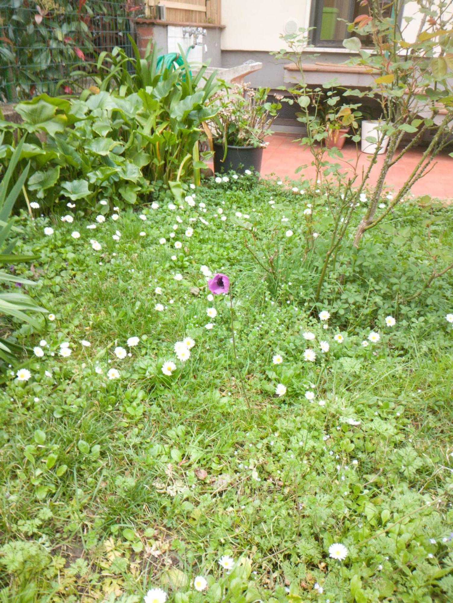 Casa Spadi Apartamento Florença